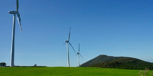 ���͔��d���̎ʐ^